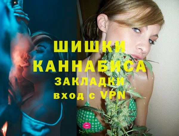 МДПВ Алексин