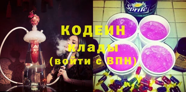 индика Абинск