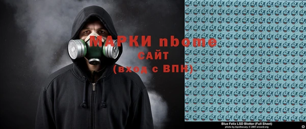 индика Абинск