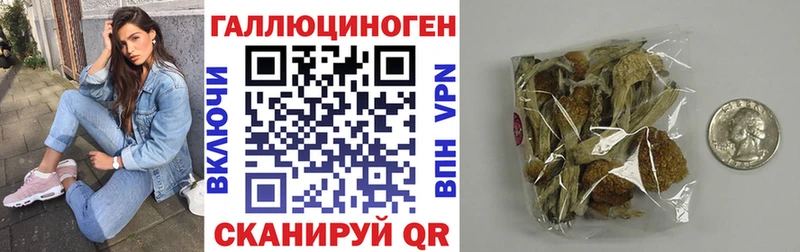 Псилоцибиновые грибы Magic Shrooms  Хасавюрт 
